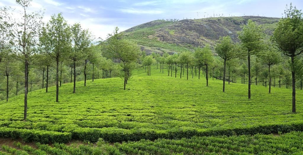 Elysium Garden Hotel Munnar Ngoại thất bức ảnh