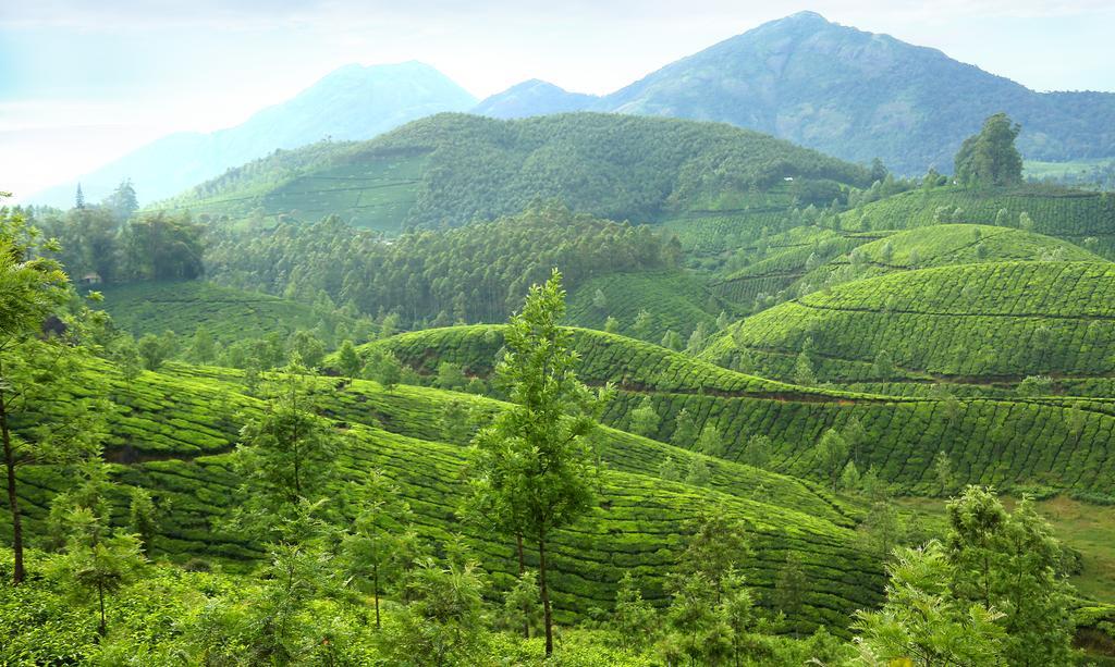 Elysium Garden Hotel Munnar Ngoại thất bức ảnh