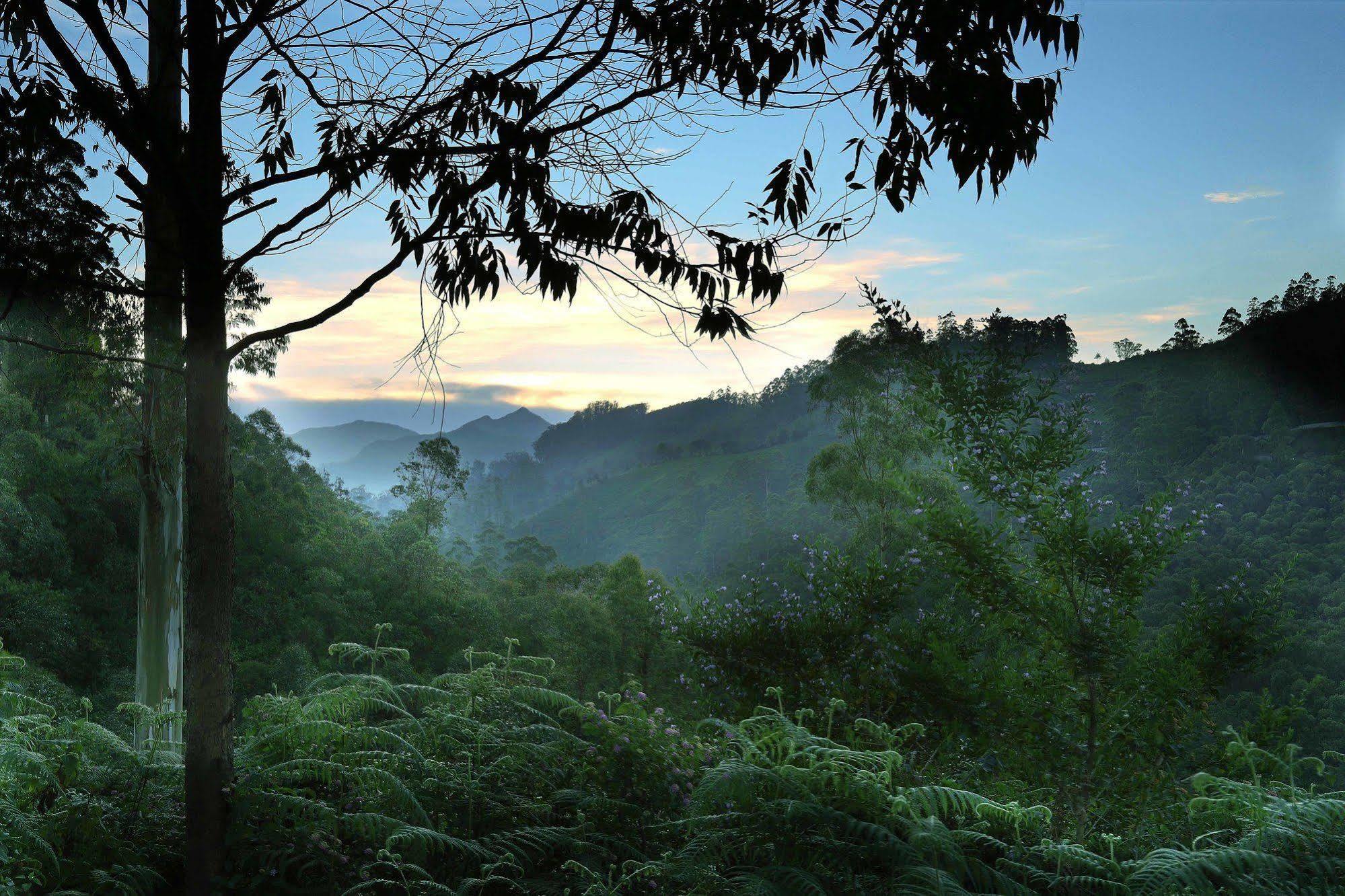 Elysium Garden Hotel Munnar Ngoại thất bức ảnh