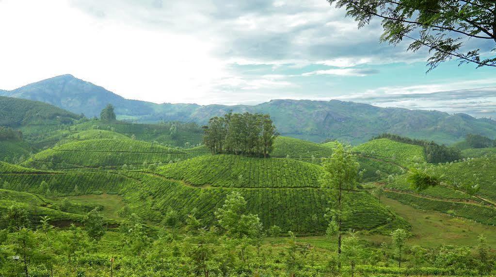 Elysium Garden Hotel Munnar Ngoại thất bức ảnh